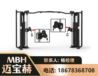北京大飞鸟训练器